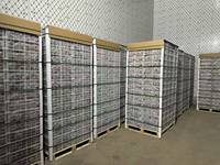 Kiwifruit Jinyan Huayou Jaune, Doux, Crémeux, Délicieux, Juteux, Tendre, Non-OGM, Frais, Qualité Supérieure, Exportation d'Usine