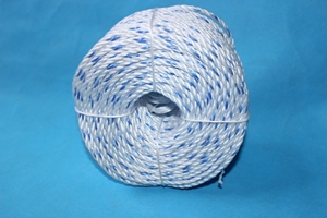 Cordon de pêche en PP Danline blanc torsadé à 3 brins de 8 mm avec traceur bleu - Product Image 2