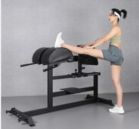 Machine de musculation professionnelle pour banc d'extension, Hyperextension inversée, Développement des fessiers et des ischio-jambiers, Entraînement du dos