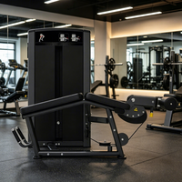 Appareil de musculation NJ pour flexions de jambes assises, équipement de fitness et d'entraînement en salle de sport, série 82, fournisseur