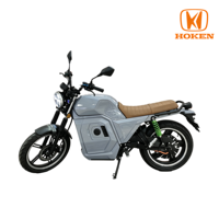 D300 3000W Electric Motorcycle 72V80Ah LFP Battery 100km/h Dual Disc Brake 17 Inch Vacuum Tire Electric Motorbike