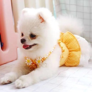 Robe d'été jaune à carreaux avec dentelle pour animaux de compagnie, pour Teddy, Pomeranian, Bichon Frise - Product Image 3