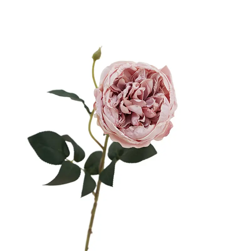 XX-01 Retro dried look autumn austin flower single stem silk artificial rose for home decoration