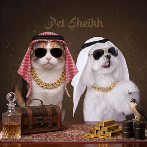 Conjunto de Disfraz para Mascotas, Diadema Blanca, Gafas de Sol, Collar, Traje para Perro o Gato, Estilo Árabe, Vestido de Fiesta - Product Image 2