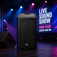 Haut-parleur professionnel actif en plastique Kelvibe-151DSP de 15 pouces avec amplificateur de classe D, Bluetooth, pour scène, église, discothèque, mariage, événement en direct