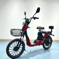 Vélo de montagne électrique de notre propre usine pour hommes et femmes, 350W 48V 12Ah, batterie amovible, freins à disque doubles, vélo électronique intelligent