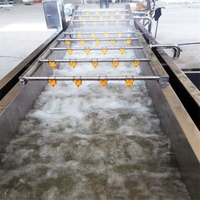Fabrieks prijs roestvrijstalen bubbel groente reinigingsmachine / fruitwastank