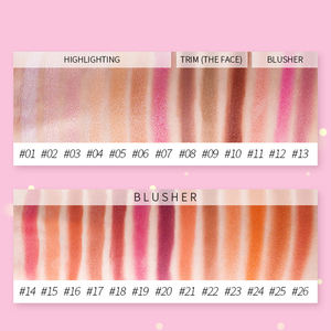 Venta al por mayor mejilla Etiqueta Privada paleta de rubor polvo prensado impermeable orgánico natural bronceador rubor resaltador paleta de contorno - Product Image 2