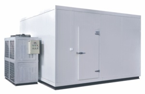 Kích Thước Tùy Chỉnh Đóng Băng Phòng Đi Bộ Trong Mát Đơn Vị Lạnh Thương Mại Lạnh Mát Lạnh Phòng - Product Image 2