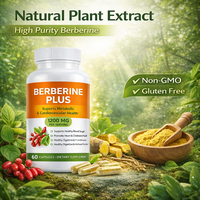 Capsules de Berbérine Plus 1200mg, Extrait Herbal, Soutient le Métabolisme du Sucre Sanguin, Santé Digestive, Fabricant OEM ODM