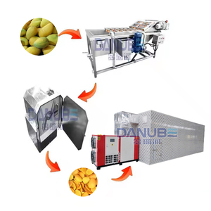 Home Business mango Fruit Drying Machine mango Slice Dry Process Machine mango Chips Drying Plant - Product Image 1