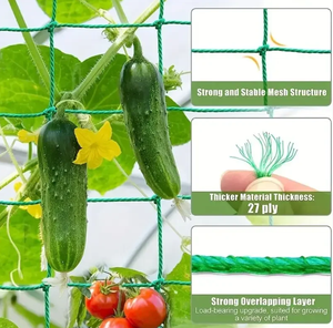 ตาข่ายรังนกตาข่ายสำหรับปลูกต้นไม้ PE ทนทานตาข่ายรังนก - Product Image 1