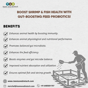 Additif alimentaire probiotique pour l'aquaculture pour une santé et une croissance optimales des poissons - Product Image 1