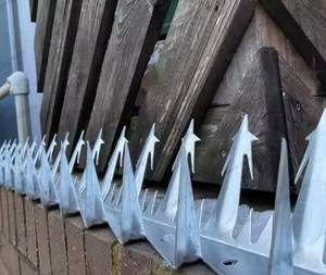 Material <span class=keywords><strong>de</strong></span> <span class=keywords><strong>alambre</strong></span> <span class=keywords><strong>de</strong></span> acero galvanizado Anti-escalada Puntas <span class=keywords><strong>de</strong></span> pared <span class=keywords><strong>de</strong></span> seguridad <span class=keywords><strong>Diente</strong></span> <span class=keywords><strong>de</strong></span> tiburón Puntas <span class=keywords><strong>de</strong></span> cerca Puntas <span class=keywords><strong>de</strong></span> alta visibilidad para seguridad - Product Image 2
