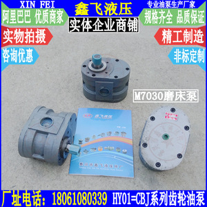 Máquina Rectificadora de Superficies de Mesa Rectangular con Husillo Horizontal HY01-100X25/HY01-70X25, Bomba de Aceite para Engranajes, Bombas Hidráulicas Hangzhou - Product Image 1