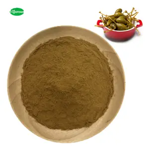 Üretici tedarik caper özü Capparis spinosa tozu yüksek kaliteli caper özü tozu