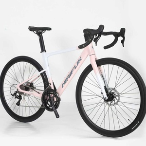 Vélo de <span class=keywords><strong>montagne</strong></span> en aluminium léger à prix réduit, couleur dégradée, vélo tout-terrain pour la randonnée et les trajets urbains - Product Image 1