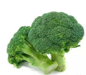 100% Biologische Broccoli Extract Sulforafaan - Product Image 2