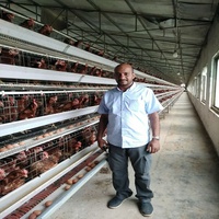Usine de poulaillers 120 160 oiseaux Cage à volailles pondeuses au Kenya au Nigéria au Zimbabwe