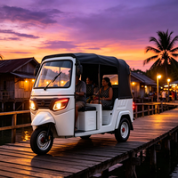 Triciclo Eléctrico de Pasajeros con Logotipo Personalizado de China, 6 Plazas, con Batería de Plomo-Ácido para Transporte Urbano de Pasajeros en Uganda