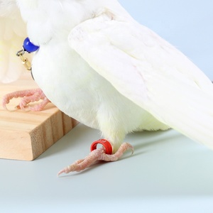 Hete Verkopende Vogel Accessoires Kleurrijke Lichtmetalen Duif Voetband <span class=keywords><strong>Ring</strong></span> - Product Image 6