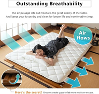 Offre Spéciale 2026 – Cadre de Lit Rétractable Multifonctionnel Pliable en Bois Massif, Style Moderne et Minimaliste, Idéal pour l'Aménagement au Sol