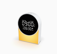 Cadeau d'entreprise promotionnel, solaire portable, alimenté par DC 6, pour haut-parleur V2.0, autonomie de la batterie de 15 à 20 heures, LED RVB, support de téléphone, radio FM