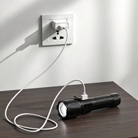 Lampe torche télescopique à laser blanc 30W, 600LM, LED, 5 modes, affichage de la puissance, rechargeable par type C, lampe de camping