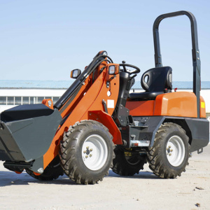 Miễn phí vận chuyển tốt nhất bán nông nghiệp xây dựng nhỏ Máy bốc hàng là giá rẻ và dễ dàng để duy trì - Product Image 3