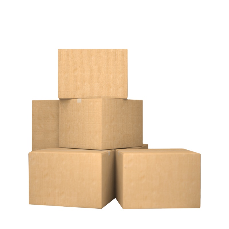 Carton Box (5kg 10 Kg)/Packaging Boxes
