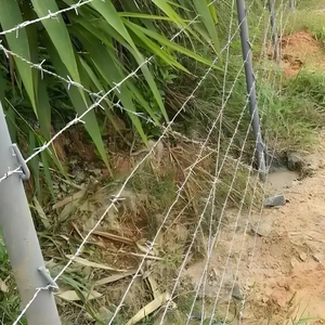 <span class=keywords><strong>Alambre</strong></span> <span class=keywords><strong>de</strong></span> <span class=keywords><strong>Púas</strong></span> Trenzado <span class=keywords><strong>de</strong></span> Doble Hilo, Rollo <span class=keywords><strong>de</strong></span> 500 <span class=keywords><strong>Metros</strong></span>, Cuerda Anti-escalada para Cercas Agrícolas - Product Image 6