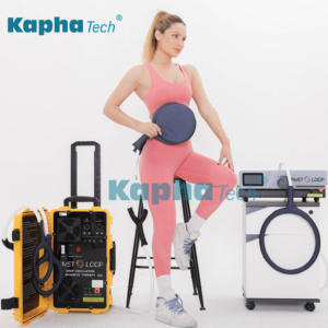 Pemf thiết bị pmst vòng lặp xung từ trường trị liệu máy với lớn và bướm vòng lặp cho làm giảm đau cho ngựa - Product Image 2