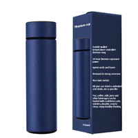 2025 bouteille en titane écologique personnalisé 500ml gobelet à café isolé bouteille d'eau pour enfants Type de bouteille sous vide