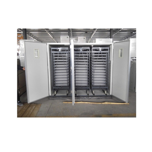 High Quality Incubators for Sale <b>Egg</b> Incubator Automatic 60 <b>Egg</b> Incubator - Product Image 4