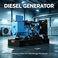 Groupe électrogène diesel 80 kVA résistant à l'abrasion pour service de secours avec anneau de levage pivotant et bac d'égouttage - Prix