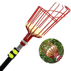 <span class=keywords><strong>Recogedor</strong></span> <span class=keywords><strong>de</strong></span> Frutas Manual Industrial, Herramienta Telescópica para Recoger Manzanas, Aceitunas, Aguacates y Mangos con Cesta y Poste Ajustable, OEM - Product Image 6