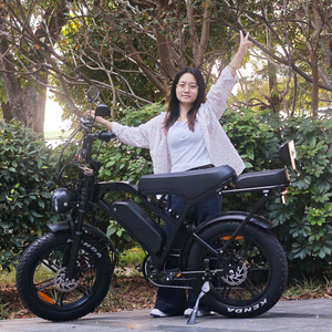 Nuevo Estilo, Venta Caliente, Bicicleta Eléctrica VOMO X80PRO Fatbike, Neumático Grueso de 20 Pulgadas, Bicicleta Eléctrica de Montaña, Bicicleta Eléctrica Urbana X80 X80pro, Nuevo Estilo - Product Image 3