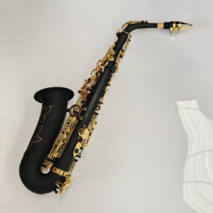 Saxophone alto en mi bémol en laiton laqué noir, résistant à la rouille, instrument <span class=keywords><strong>de</strong></span> haute qualité, directement <span class=keywords><strong>de</strong></span> l'usine - Product Image 5