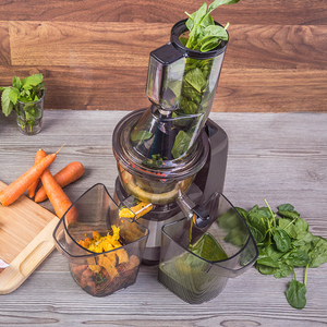 Extracteur de jus lent commercial de haute qualité pour fruits et smoothies, idéal pour la vente en gros - Product Image 5