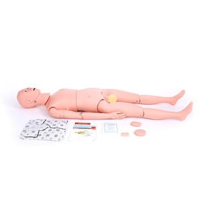 Modèle de soignant masculin articulé de haute qualité, très vendu, avec possibilité de changer les genoux, les genoux articulés et les ondulations de la poitrine - Product Image 1