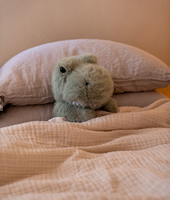 Mini dinosaure en peluche chauffable au micro-ondes