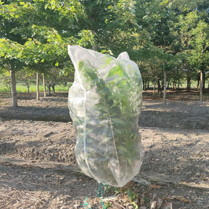 Sac <span class=keywords><strong>filet</strong></span> anti-insectes en PEHD stabilisé aux UV pour serre, barrière contre les mouches et les ravageurs - Product Image 5