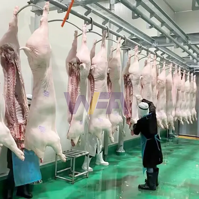 Machine complète d'abattoir de truies de boucherie pour l'abattage de 50 porcs chèvres vaches par jour équipement