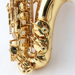 Instruments de musique de qualité supérieure, <span class=keywords><strong>saxophone</strong></span> <span class=keywords><strong>alto</strong></span> avec corps en bronze laqué clair et bouton en nacre - Product Image 5