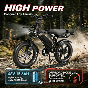 Bicicleta Eléctrica QMWHEEL V20 Pro con Llantas Gruesas de 20 Pulgadas y 4.0, Batería de 48V 15.6AH, DDP Italia, Doble Suspensión, Frenos Hidráulicos - Product Image 2