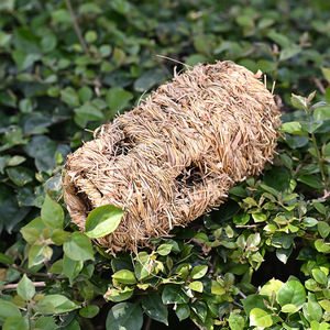 อุโมงค์สัตว์เลี้ยงทอมือจากฟาง ขนาด 20x10 ซม. เป็นมิตรกับสิ่งแวดล้อม สำหรับแฮมสเตอร์ออกกำลังกาย เล่น และเป็นที่หลบซ่อน - Product Image 4