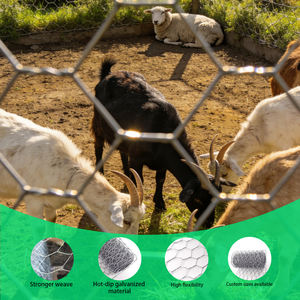 Malla de Alambre Hexagonal Galvanizada <span class=keywords><strong>para</strong></span> <span class=keywords><strong>Gallinero</strong></span>, Malla de Alambre Soldada <span class=keywords><strong>para</strong></span> Construcción con Calibre Personalizable - Product Image 5