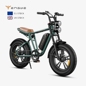 Vélo électrique tout-terrain vintage 250W, 48V 13Ah, longue autonomie, vélo de ville électrique 20 pouces, suspension intégrale, Fat E-Bike, en stock UE/Royaume-Uni - Product Image 1