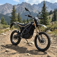 Surron Ultra Bee avec certification CE, NOUVELLE VERSION 2026, 24,5 kW, 74 V, 0-80 km/h en 3,5 s, Moto tout-terrain électrique Surron Ultra Bee Pro Racing
