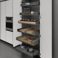 Tiroir coulissant plat en verre, ajustement universel pour systèmes d'armoires basses hautes, capacité de charge 30 kg, paniers intégrés modernes et luxueux
